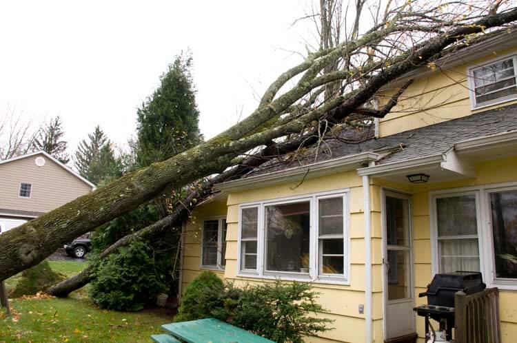 storm-damage-restoration-services-Birmingham-alabama