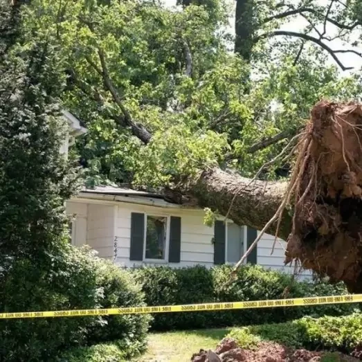 wind-wind-damage-repair-services-in-oklahoma-city